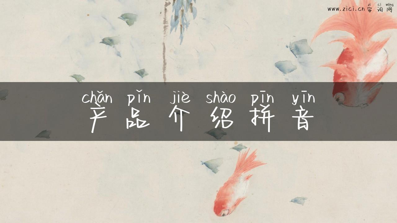 产品介绍拼音