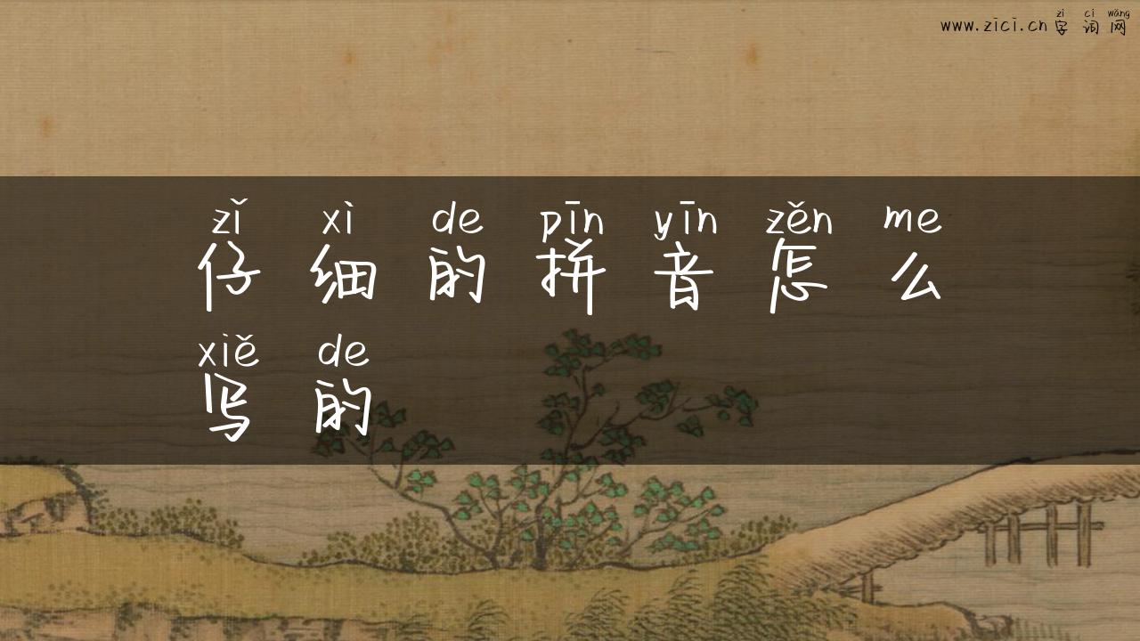 仔细的拼音怎么写的