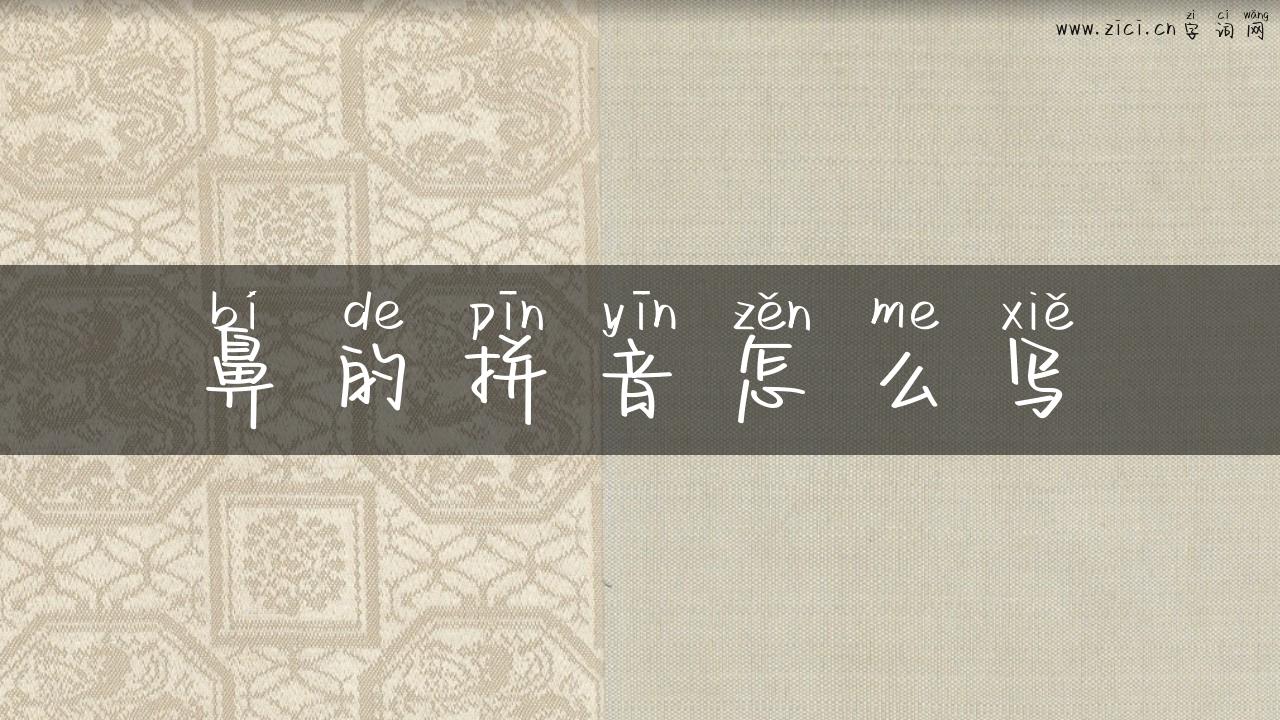 鼻的拼音怎么写