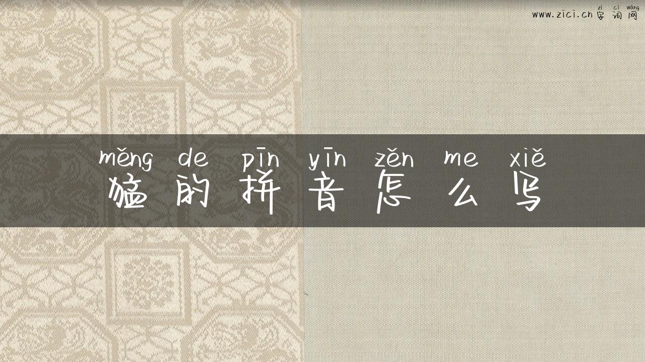 猛的拼音怎么写