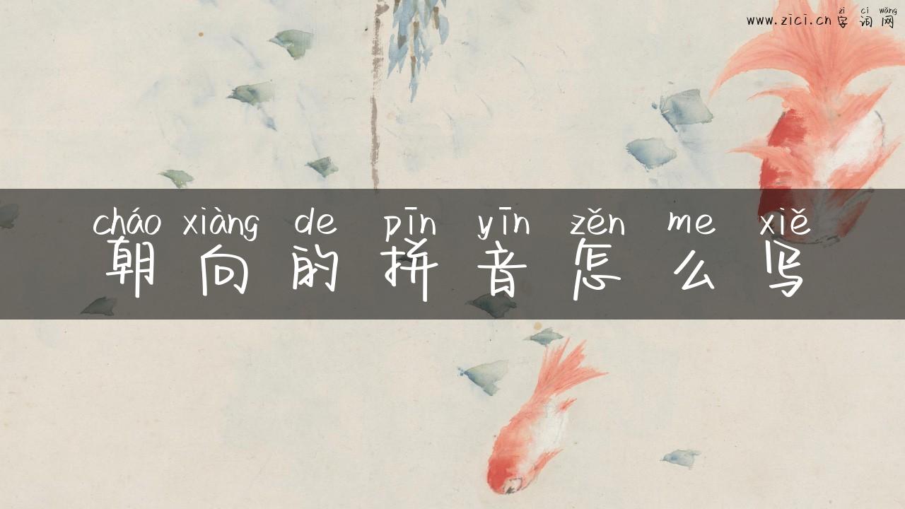 朝向的拼音怎么写