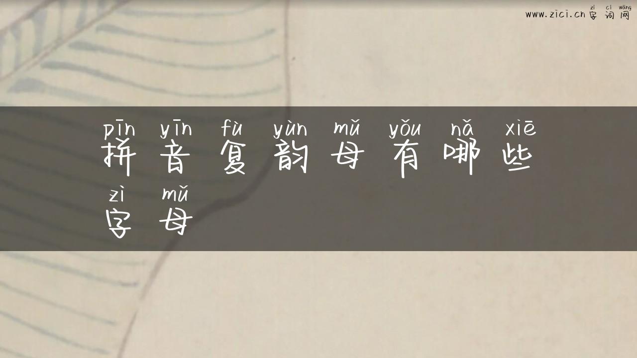 拼音复韵母有哪些字母