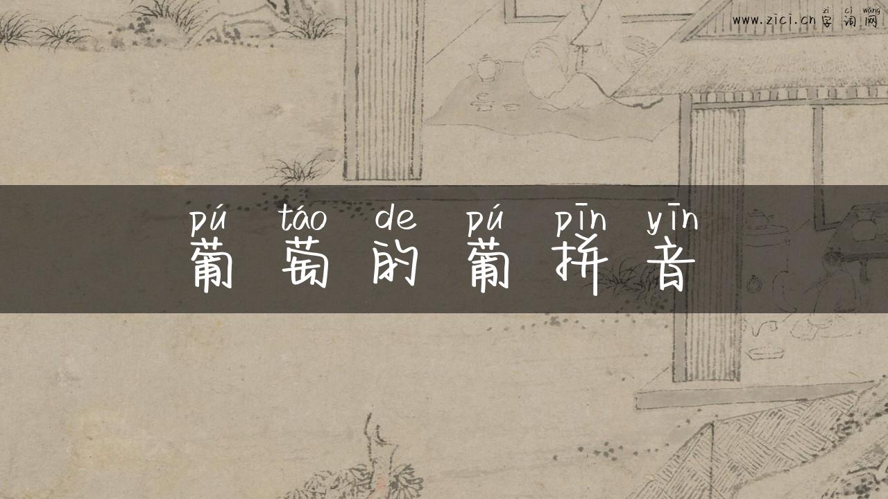 葡萄的葡拼音