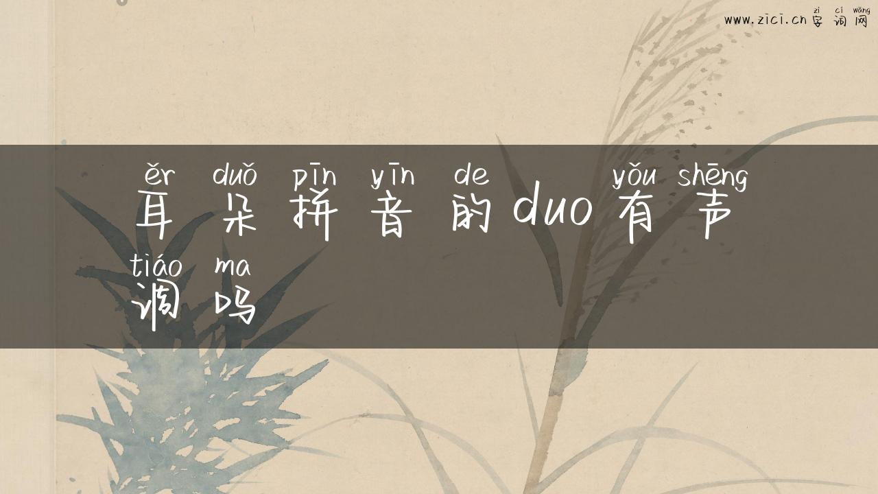 耳朵拼音的duo有声调吗