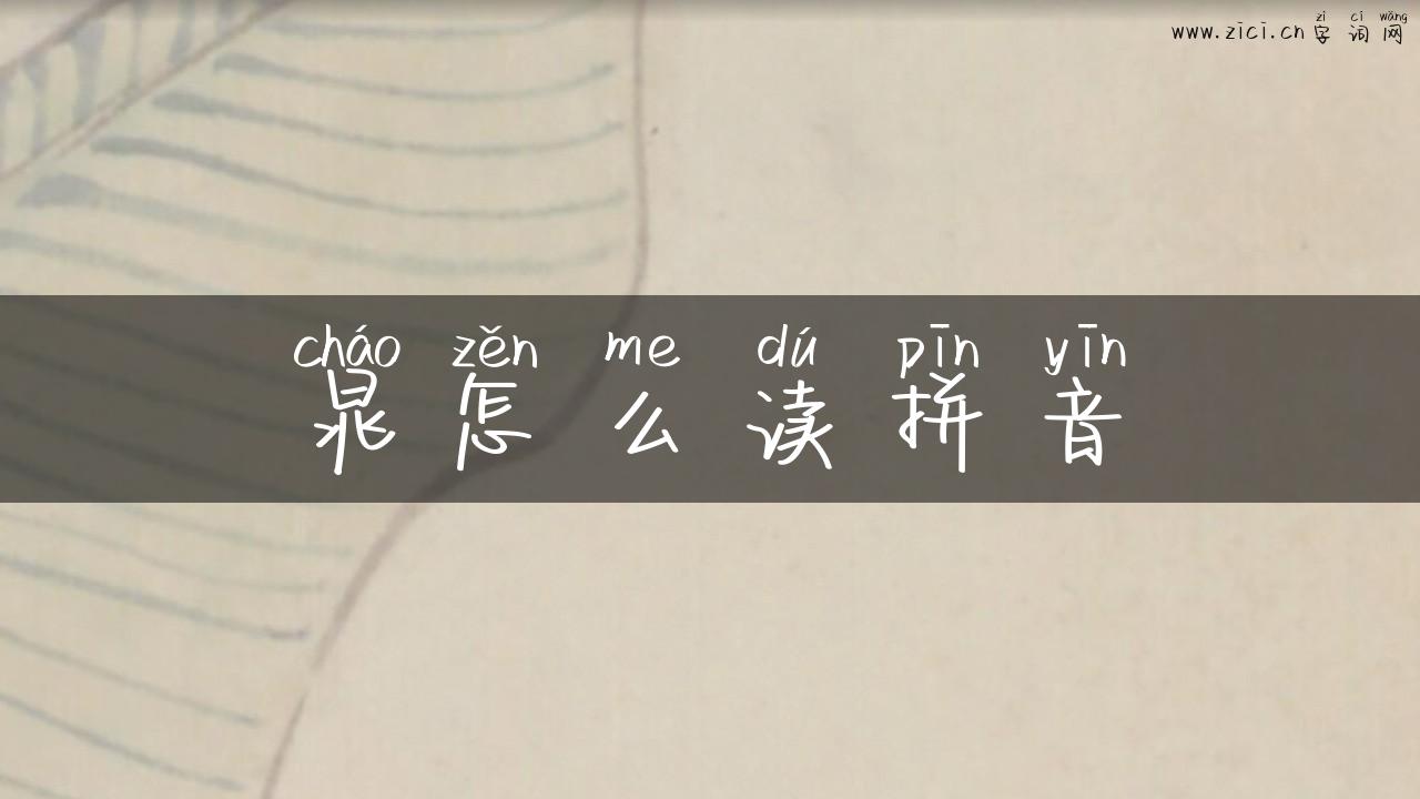 晁怎么读拼音