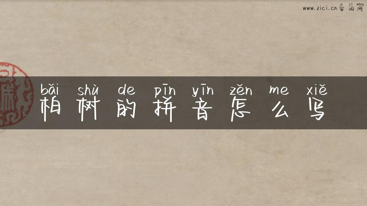 柏树的拼音怎么写