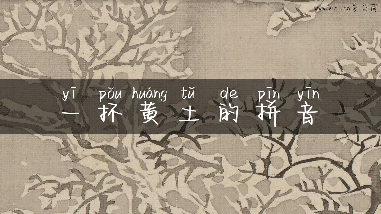 一抔黄土的拼音