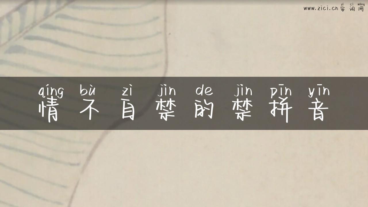 情不自禁的禁拼音