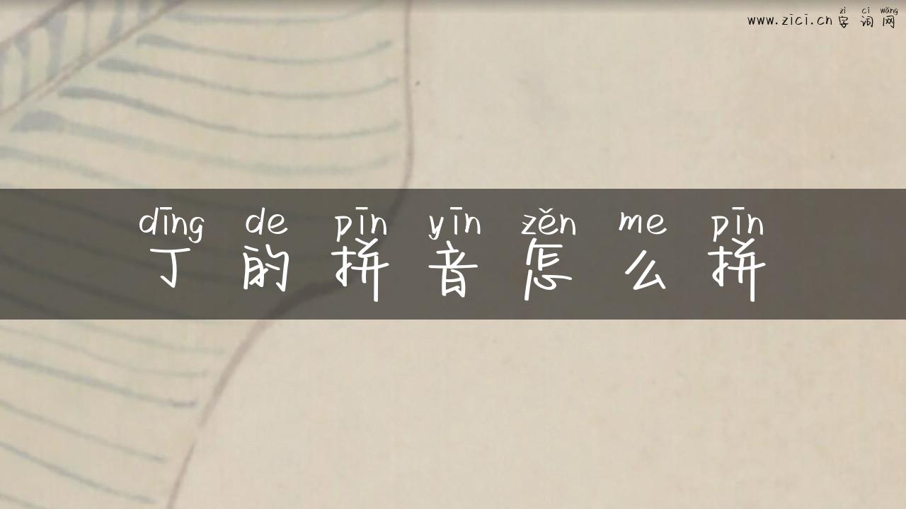 丁的拼音怎么拼