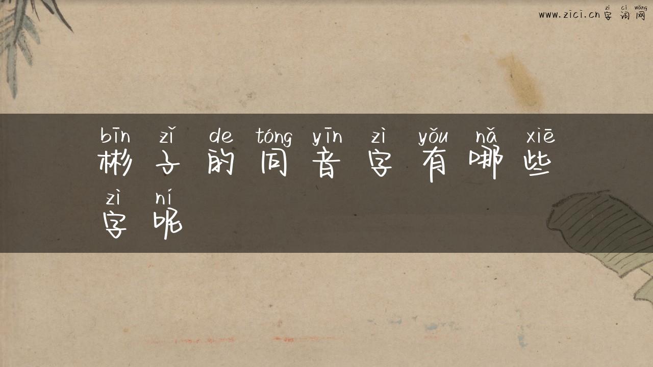 彬子的同音字有哪些字呢