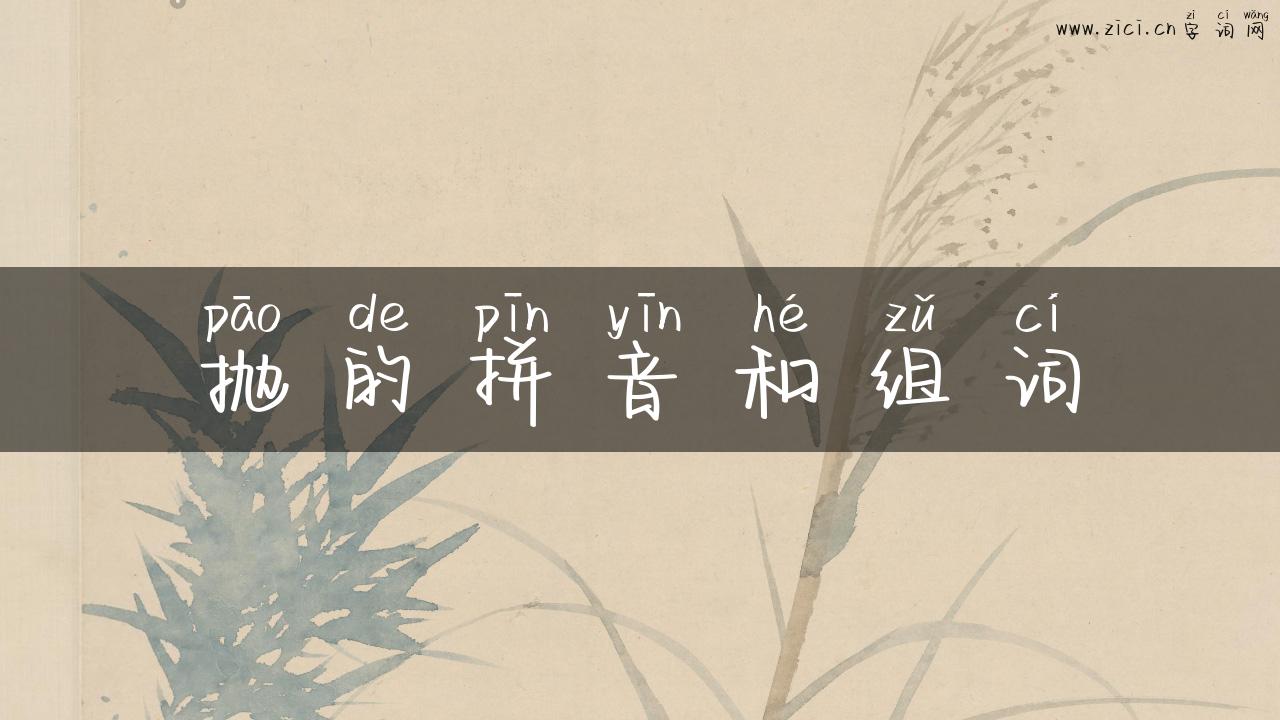 抛的拼音和组词