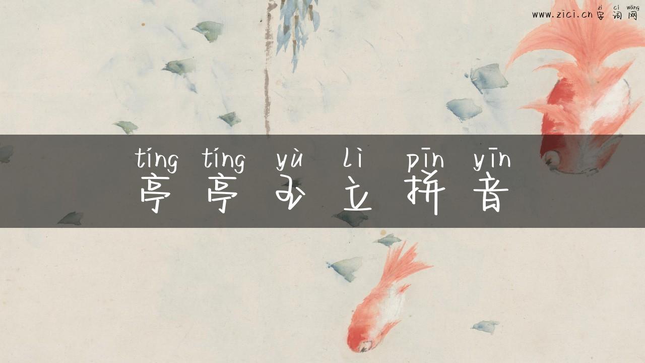 亭亭玉立拼音