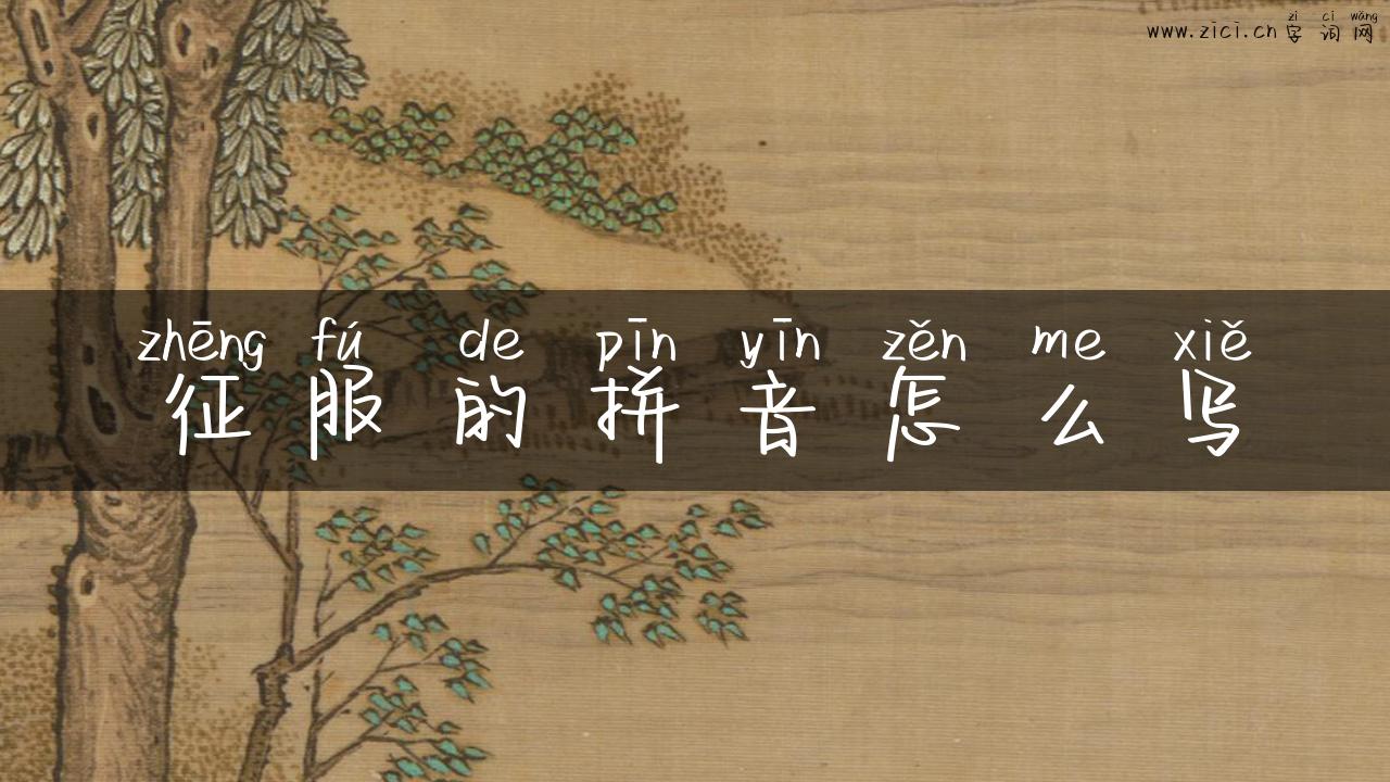 征服的拼音怎么写