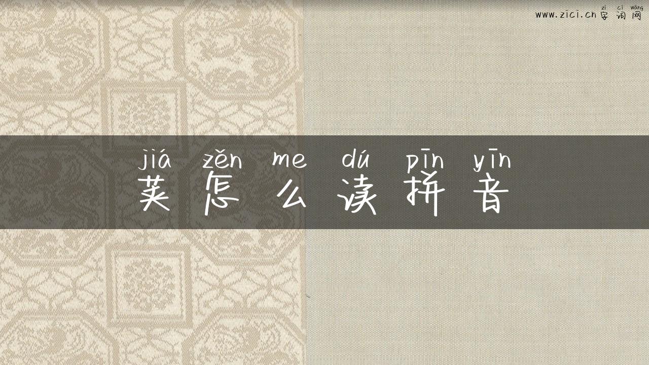 荚怎么读拼音