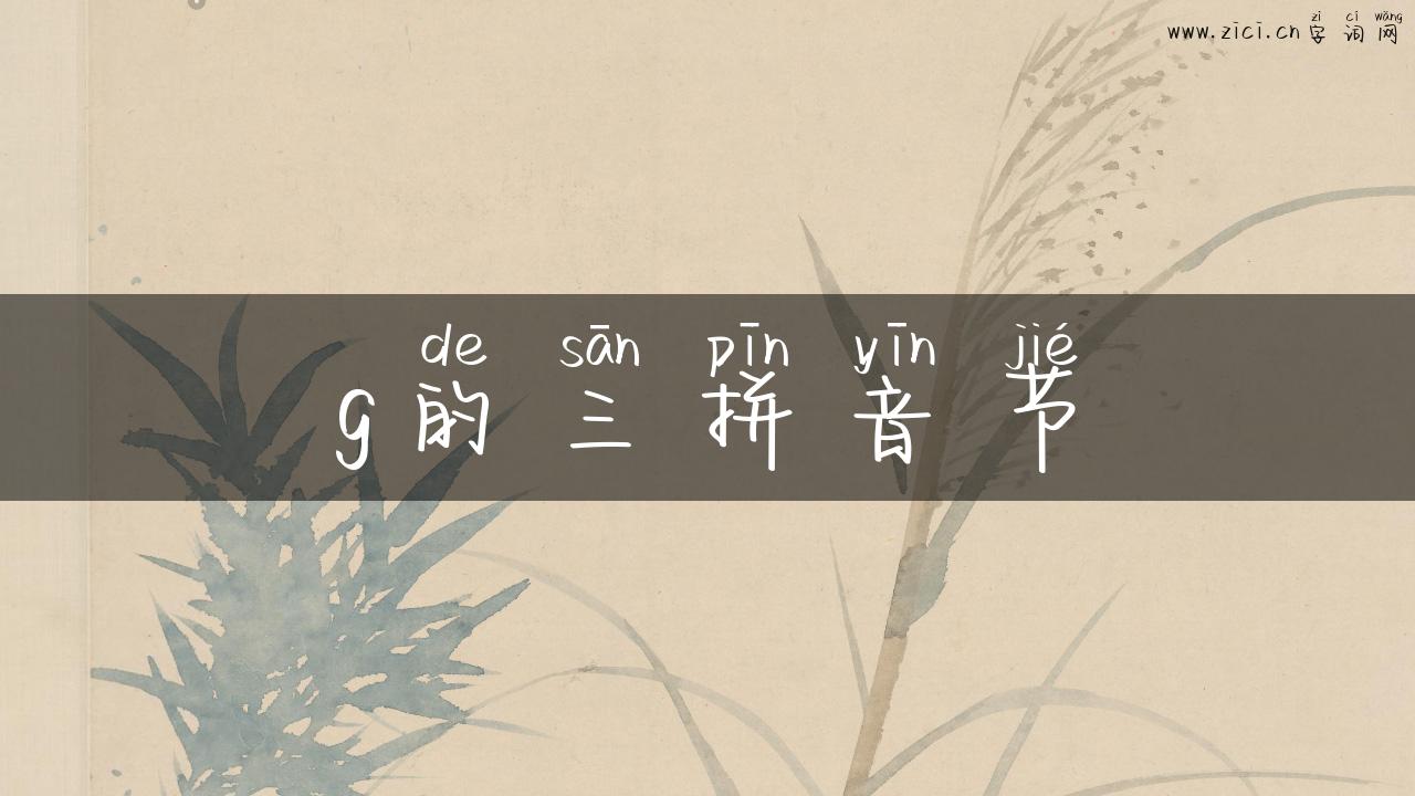 g的三拼音节
