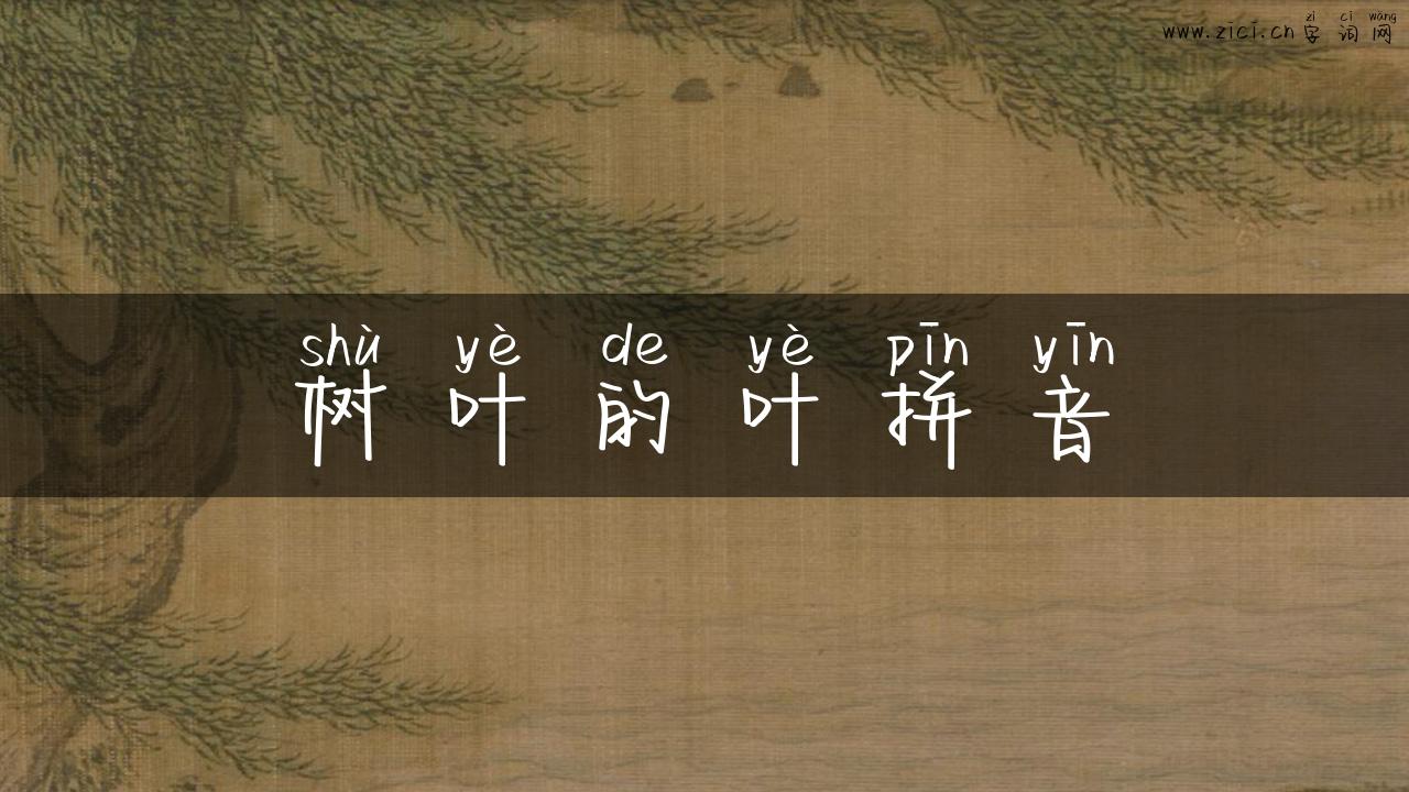 树叶的叶拼音
