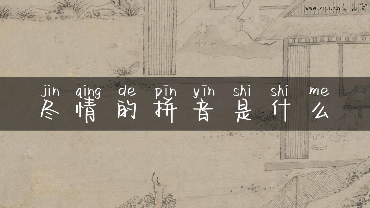 尽情的拼音是什么