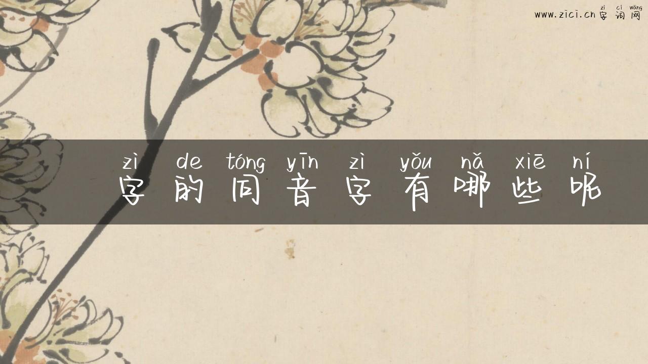 浧字的同音字有哪些呢