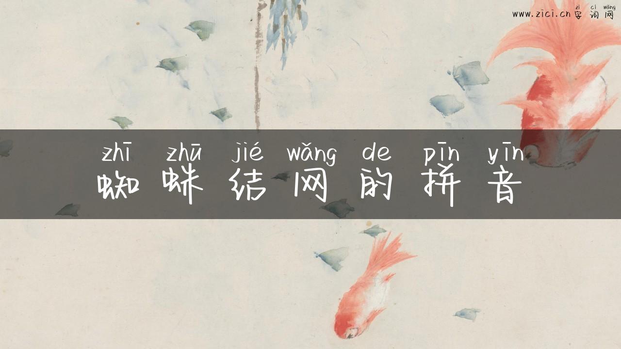蜘蛛结网的拼音