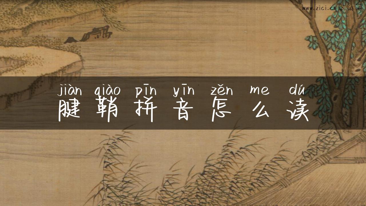腱鞘拼音怎么读