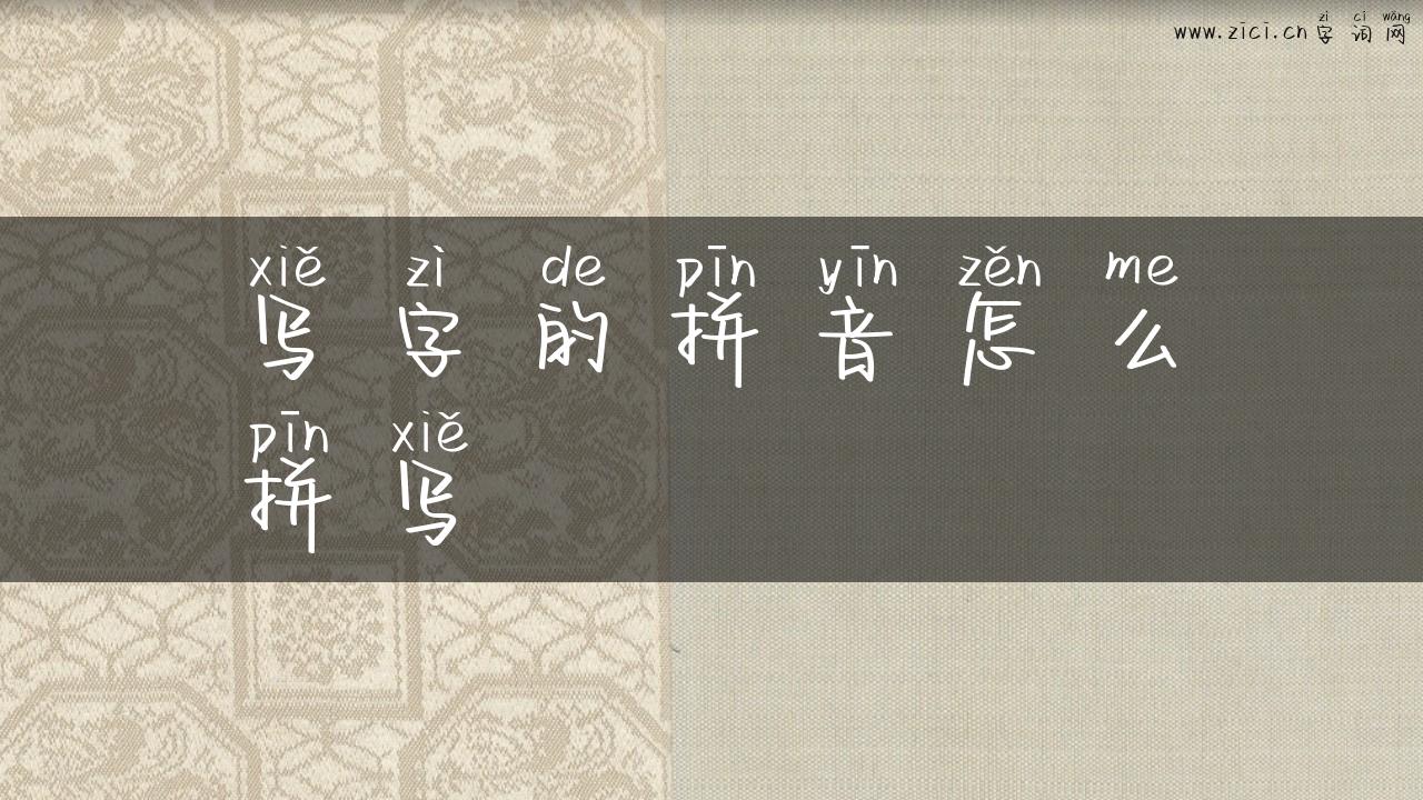 写字的拼音怎么拼写