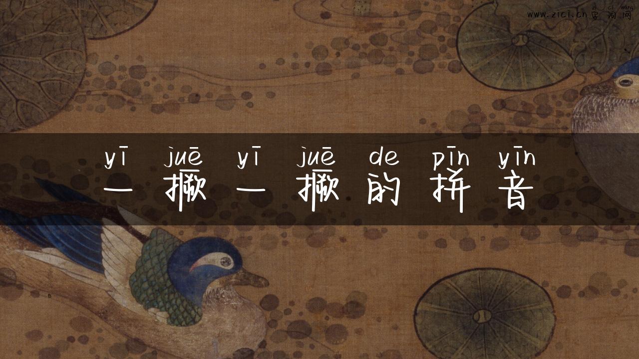 一撅一撅的拼音