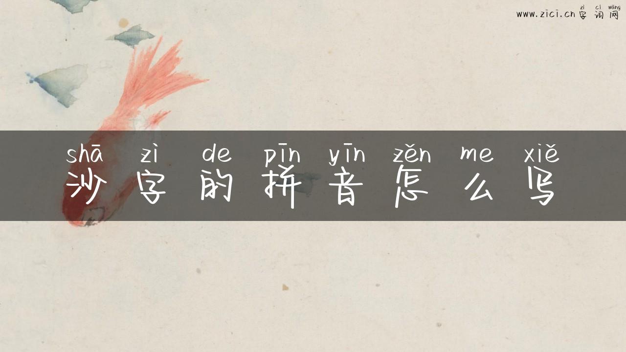 沙字的拼音怎么写