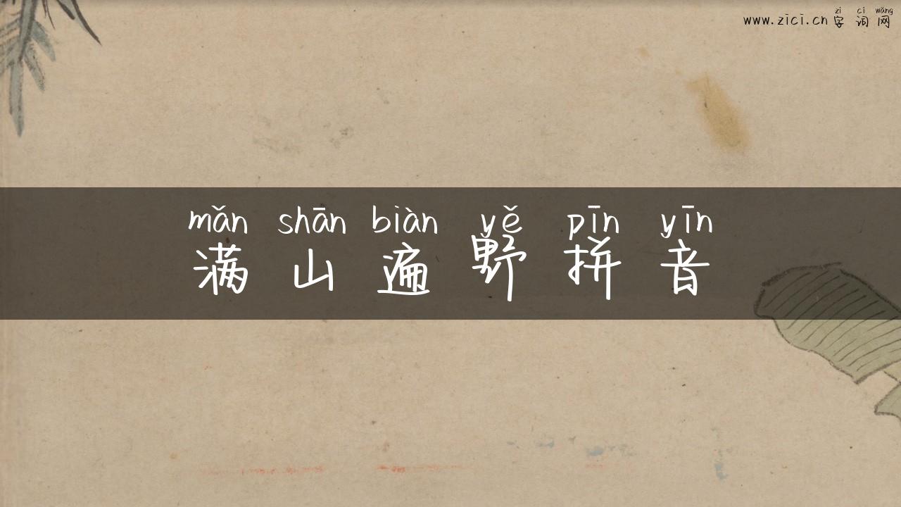 满山遍野拼音