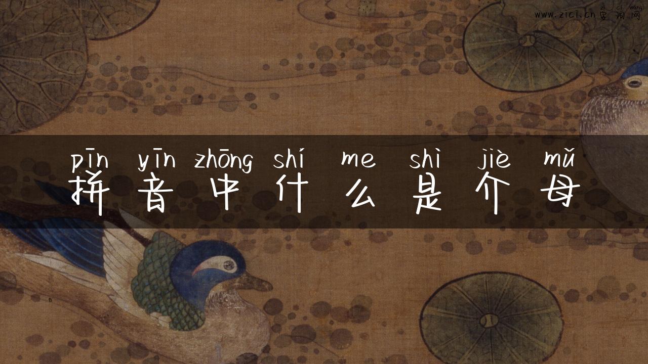 拼音中什么是介母