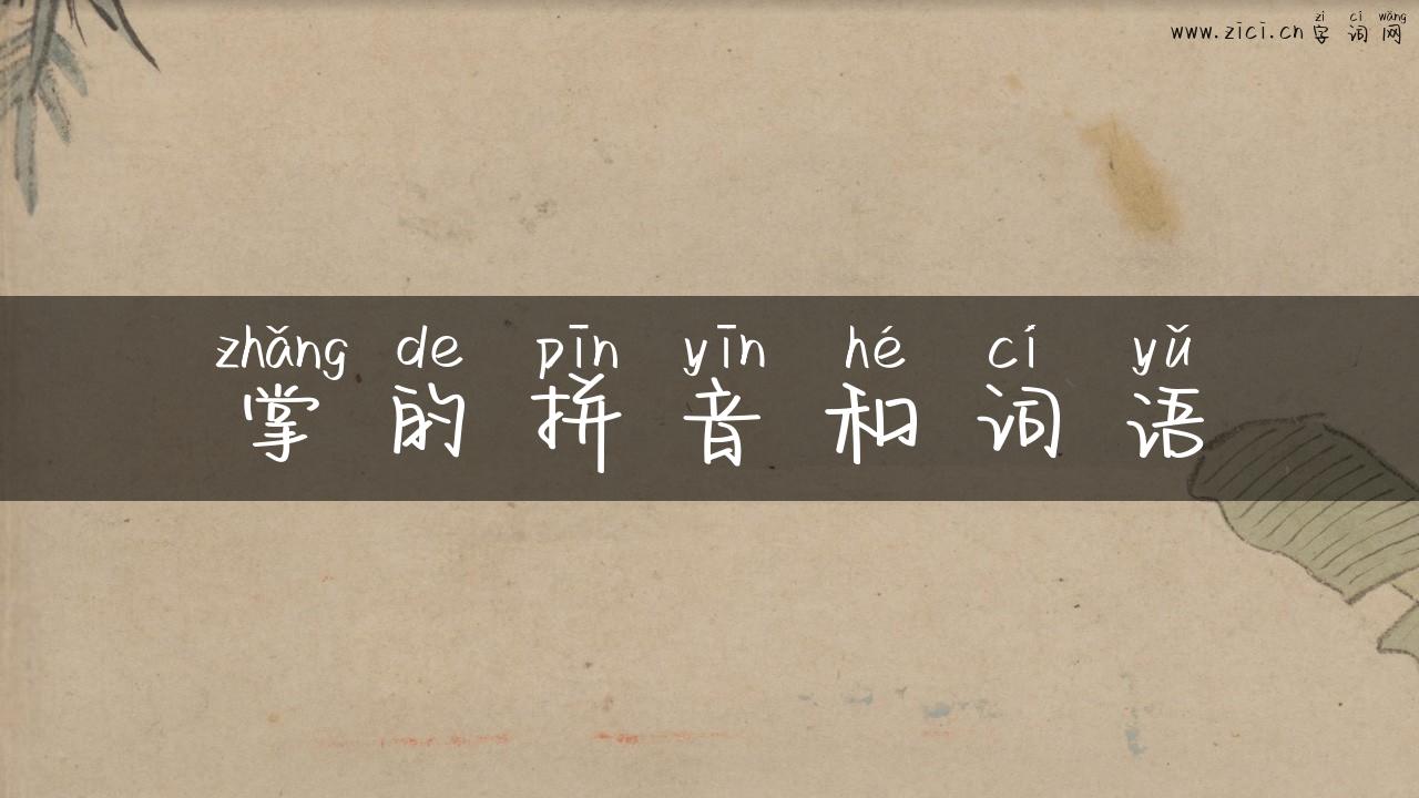 掌的拼音和词语