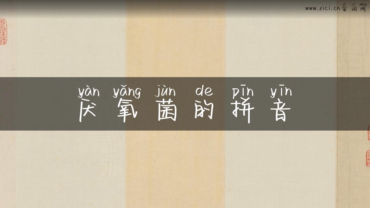 厌氧菌的拼音