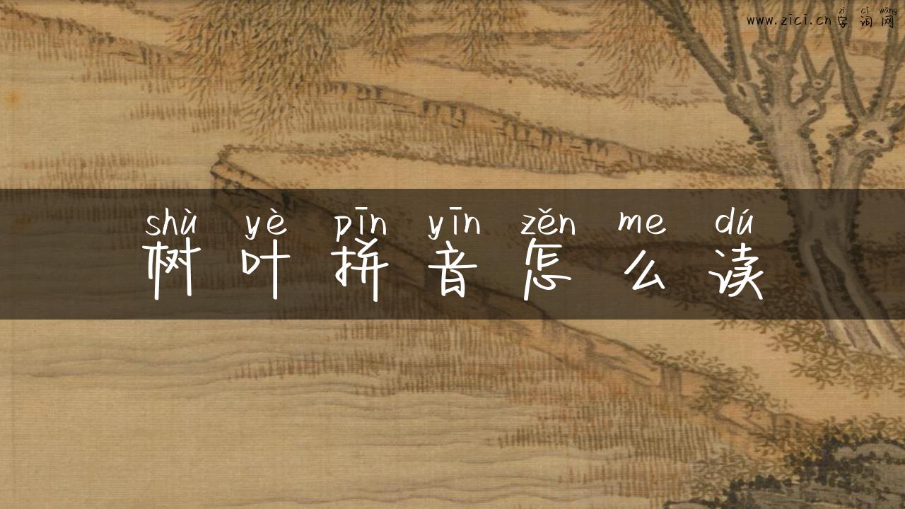 树叶拼音怎么读