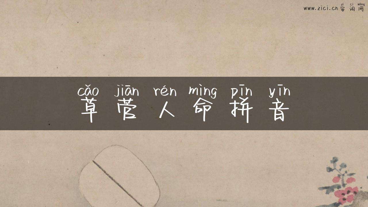 草菅人命拼音