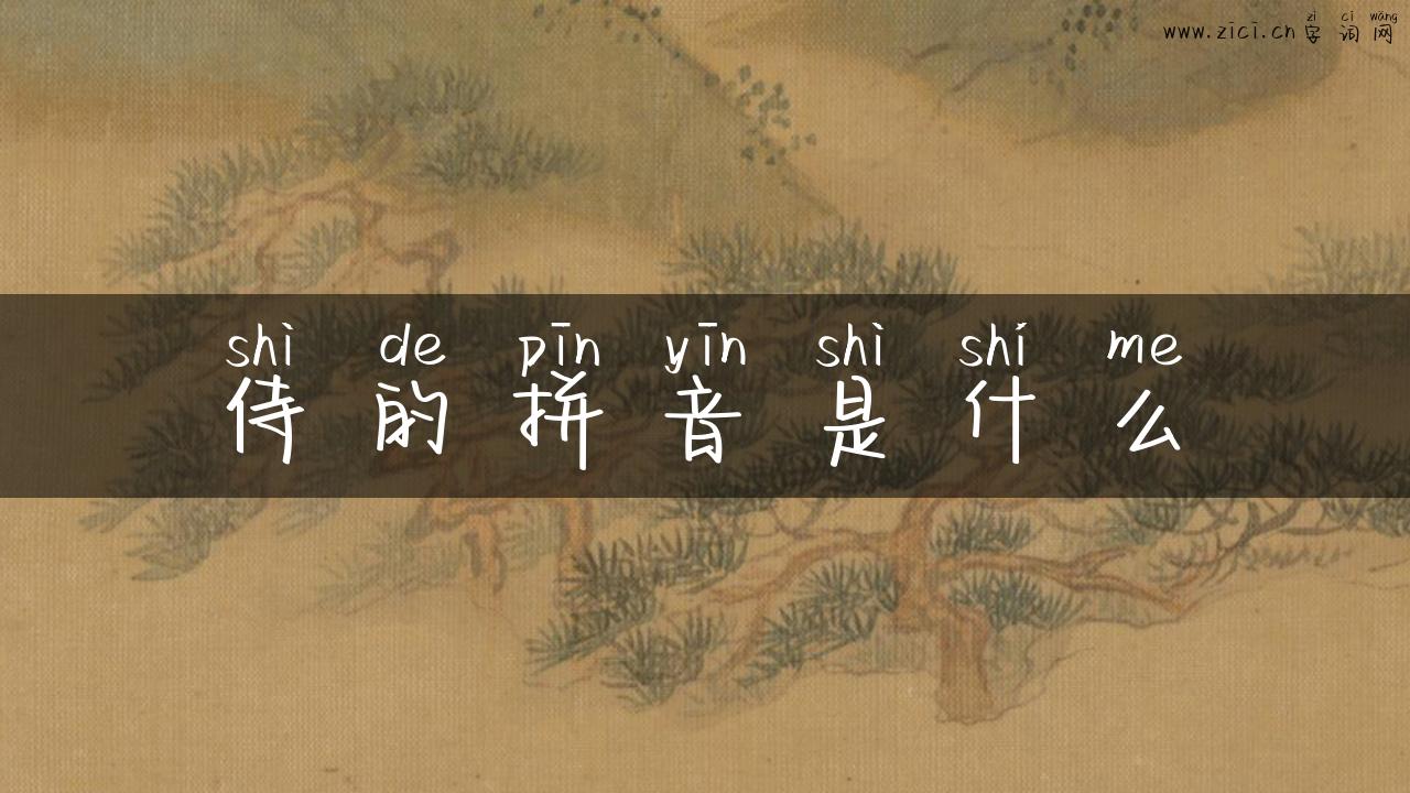 侍的拼音是什么