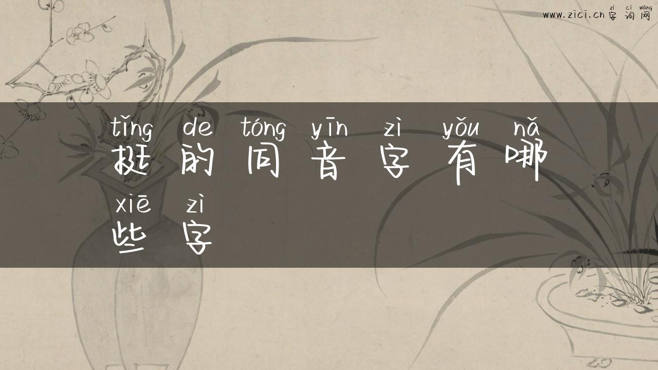 挺的同音字有哪些字