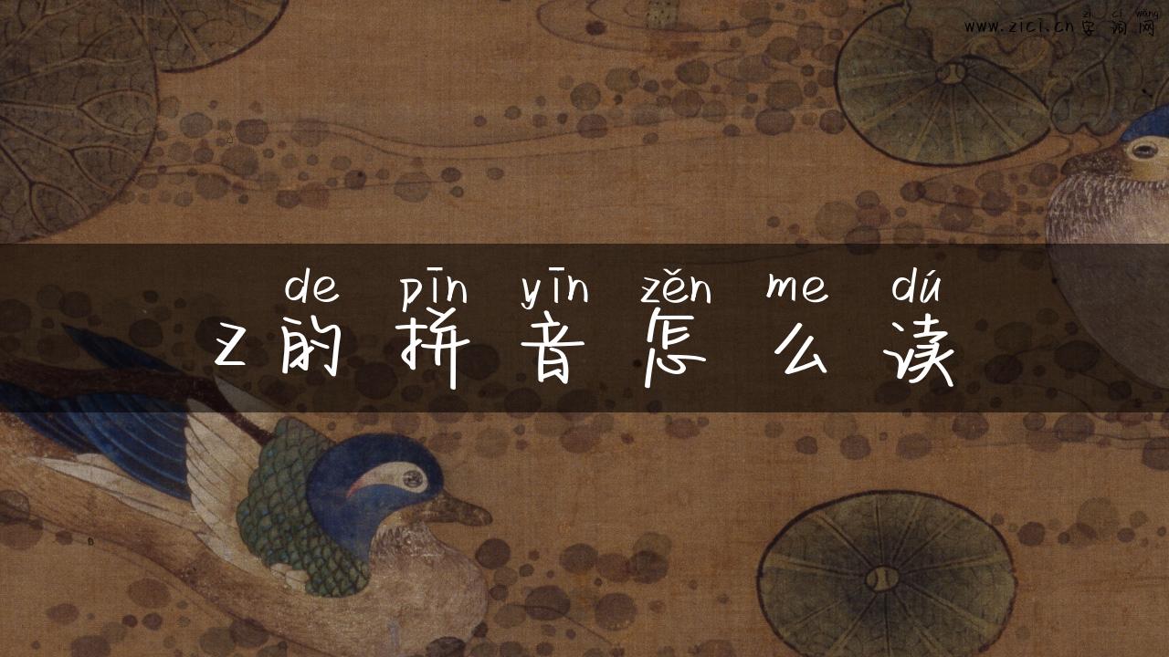 z的拼音怎么读
