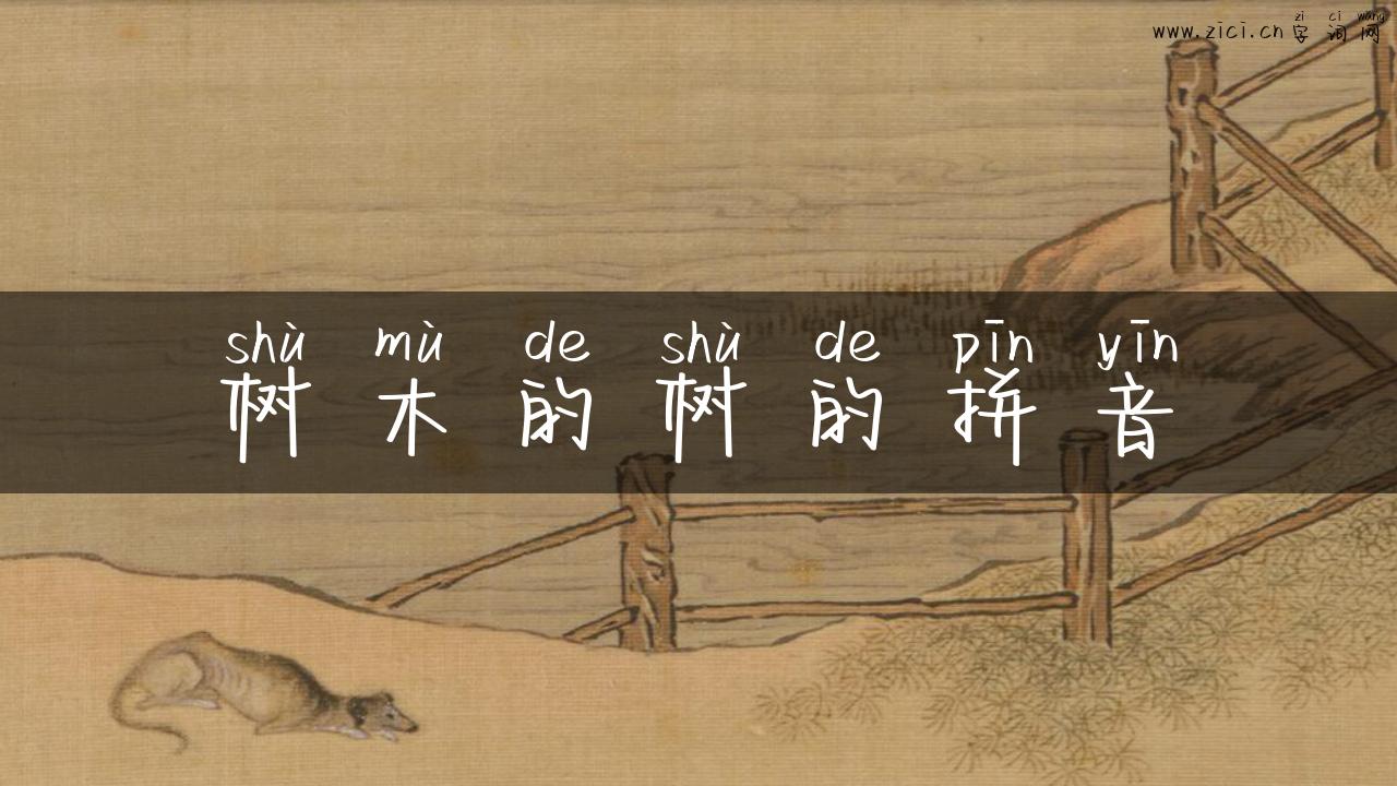 树木的树的拼音