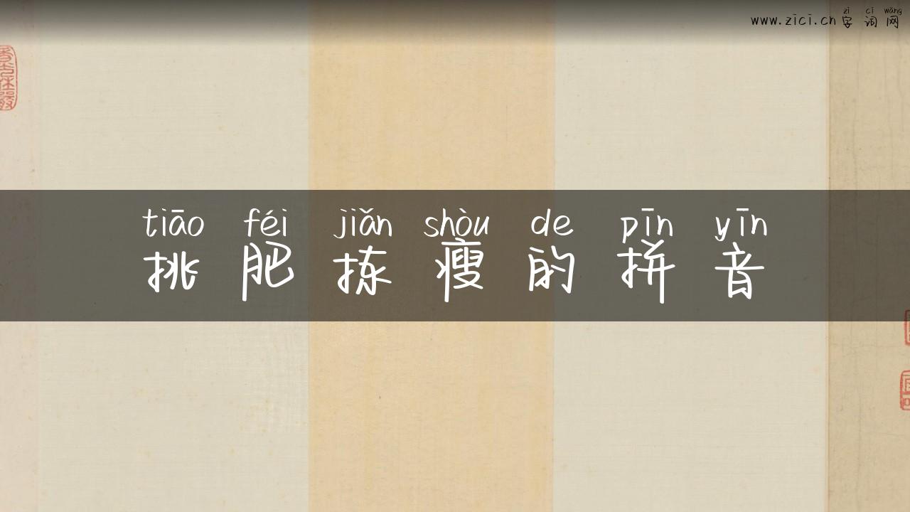 挑肥拣瘦的拼音