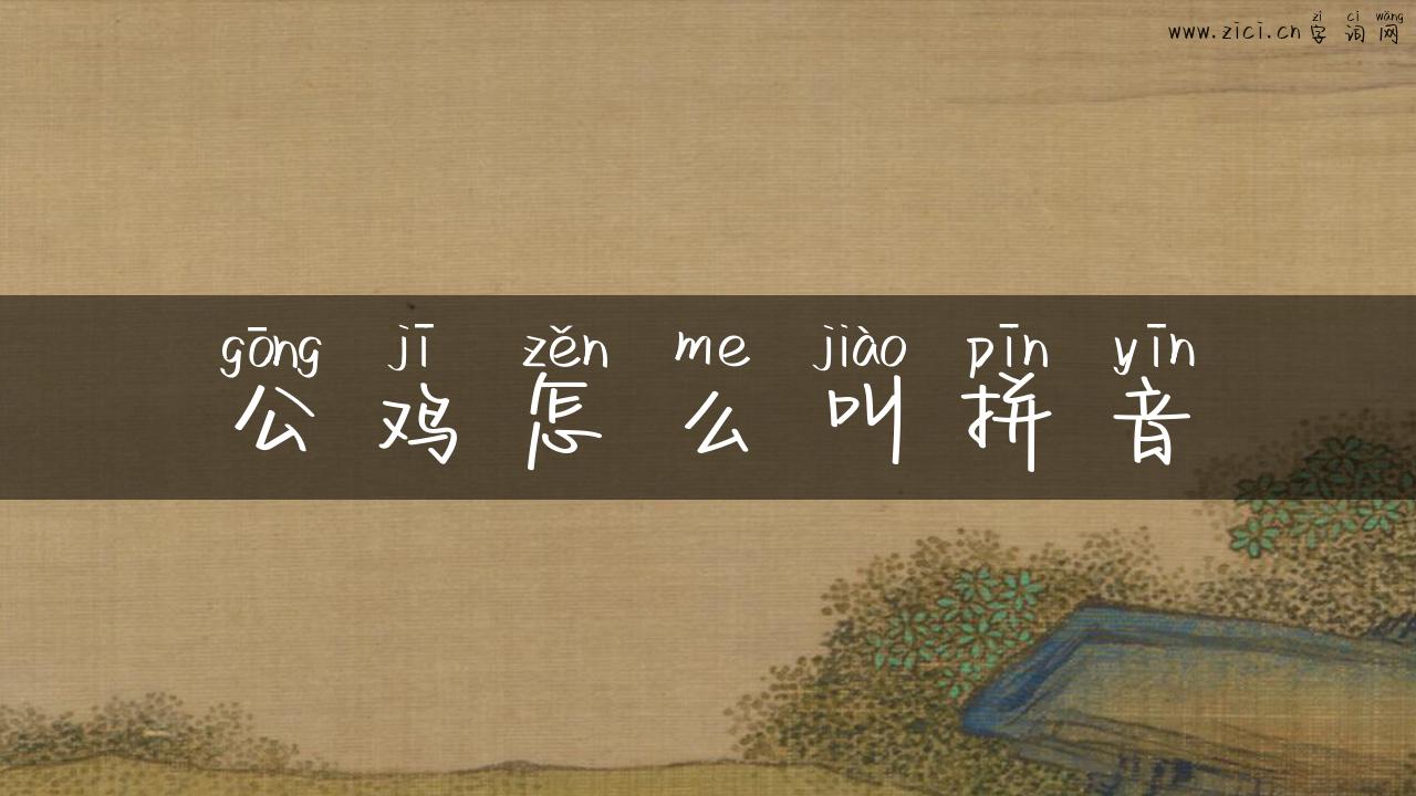 公鸡怎么叫拼音