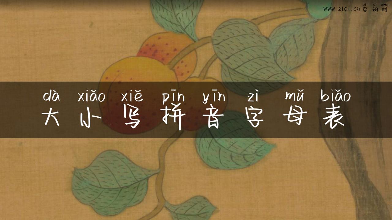 大小写拼音字母表