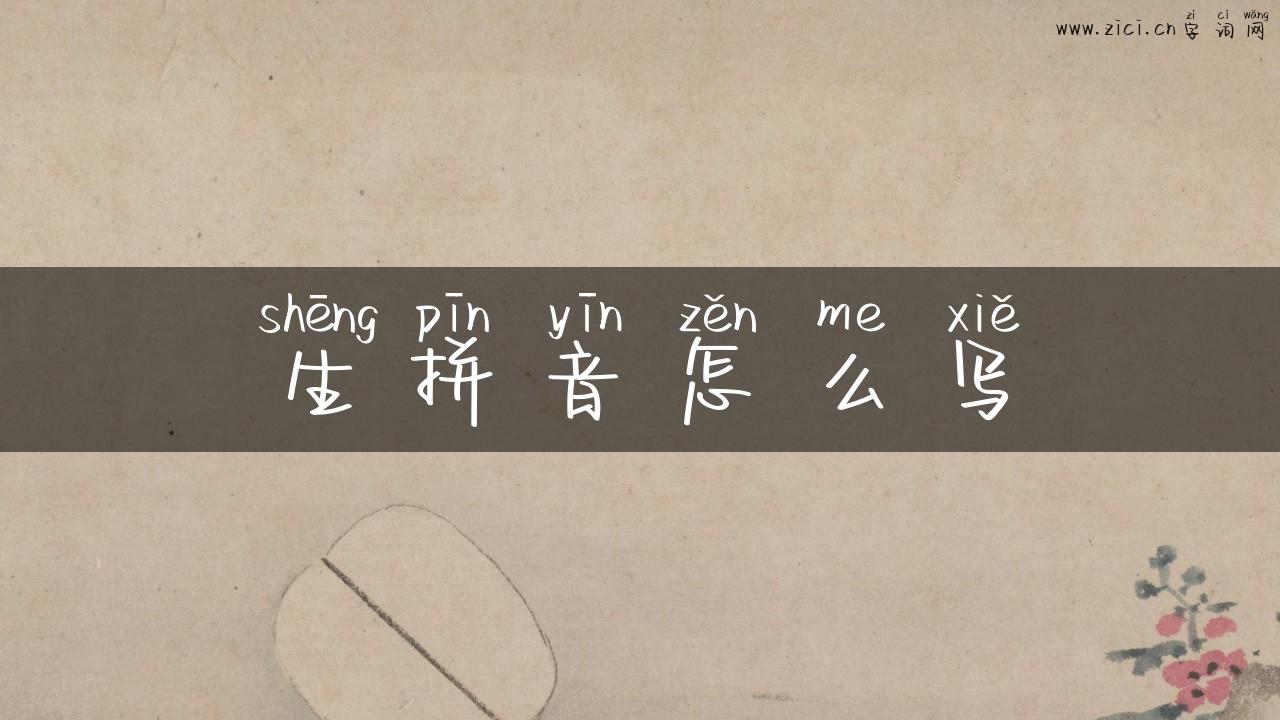 生拼音怎么写