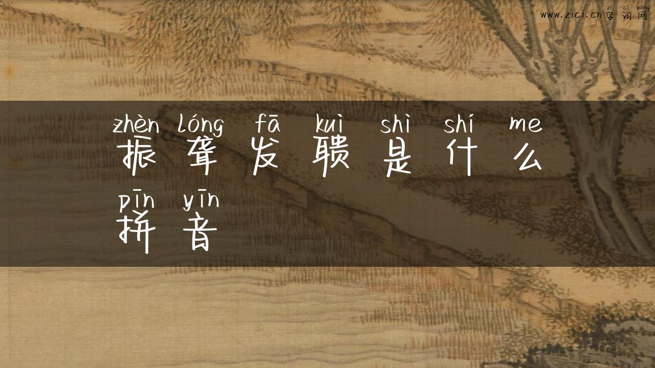 振聋发聩是什么拼音