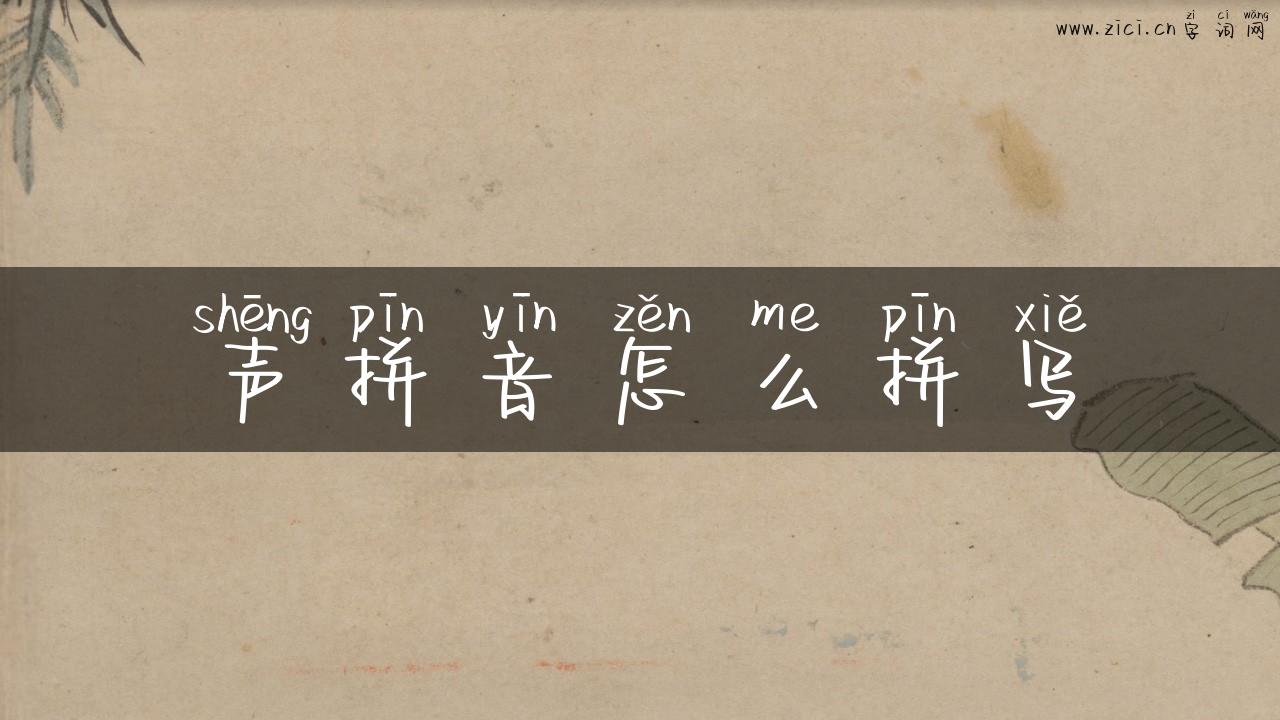 声拼音怎么拼写