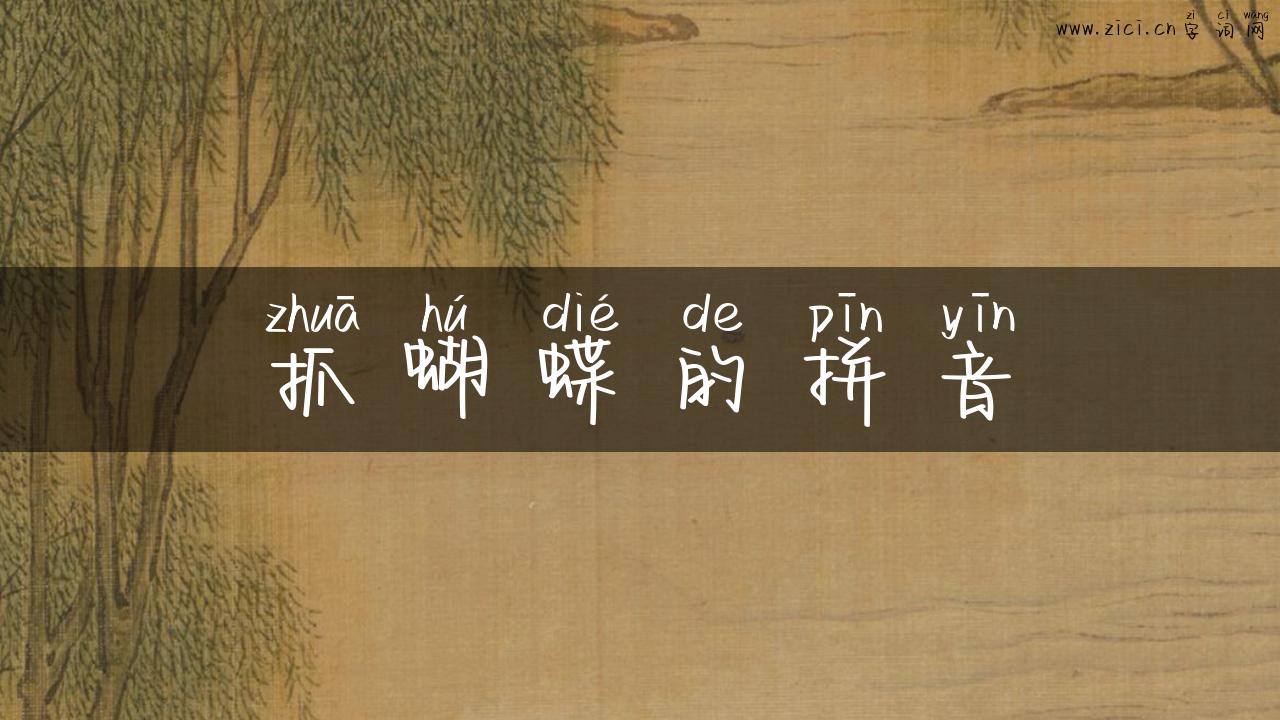 抓蝴蝶的拼音