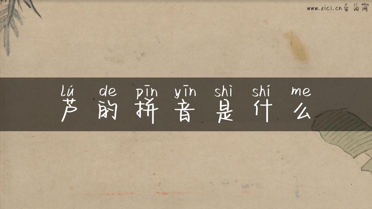 芦的拼音是什么