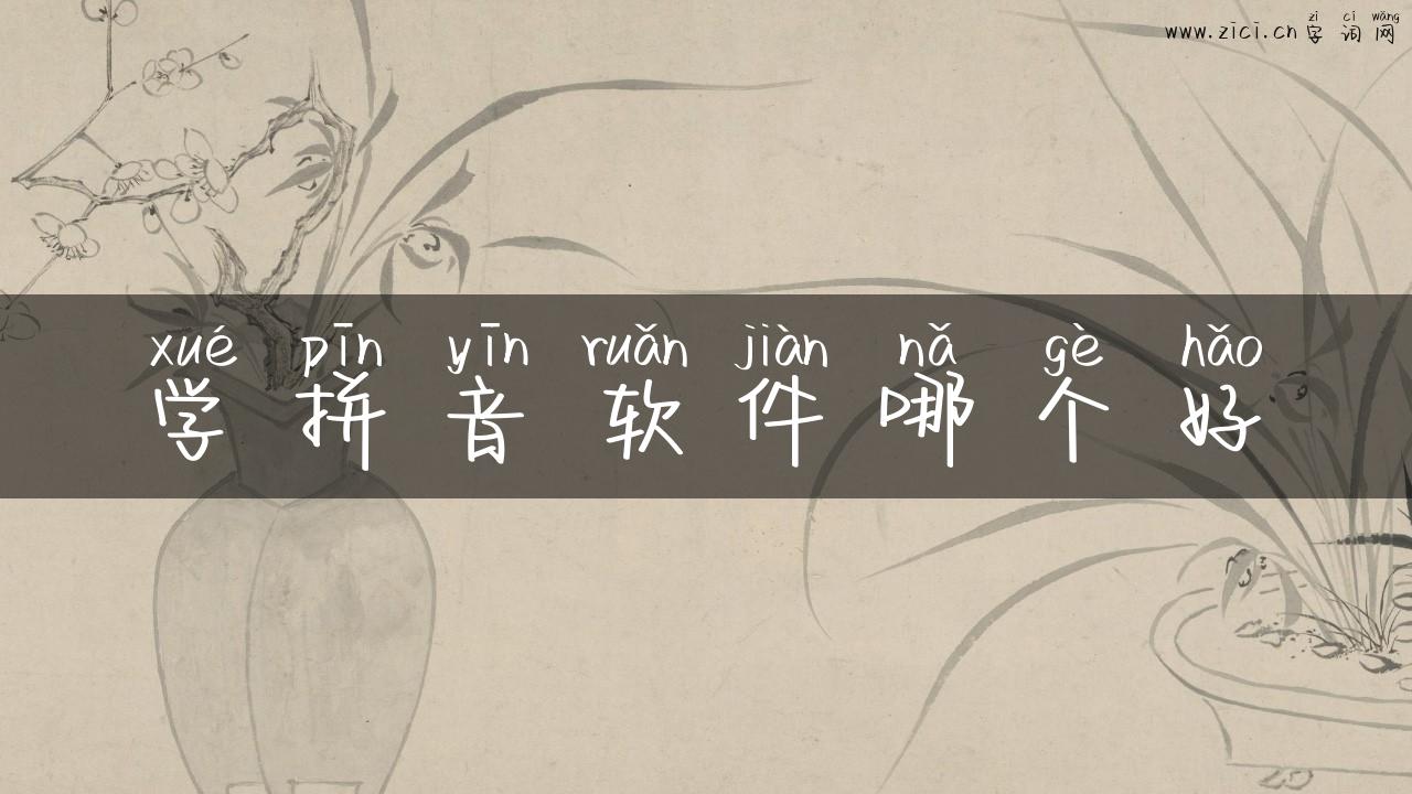 学拼音软件哪个好