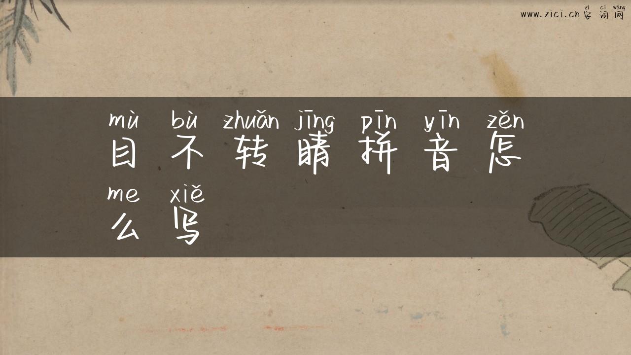 目不转睛拼音怎么写