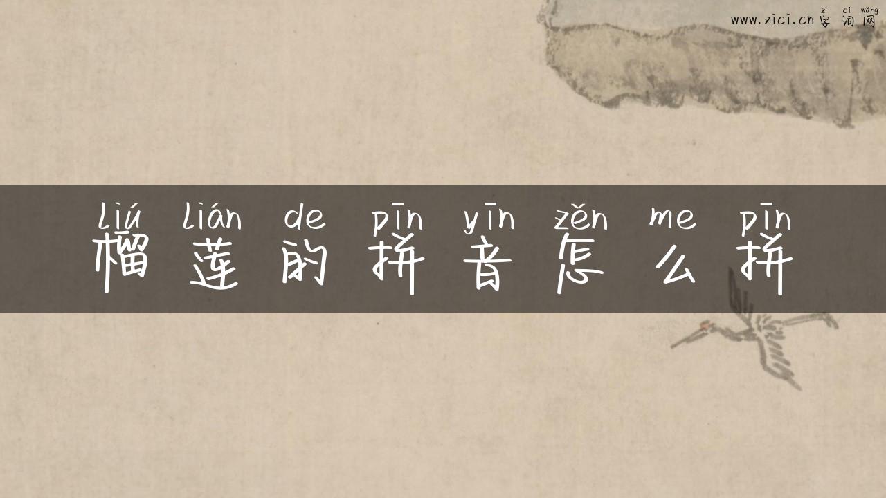 榴莲的拼音怎么拼