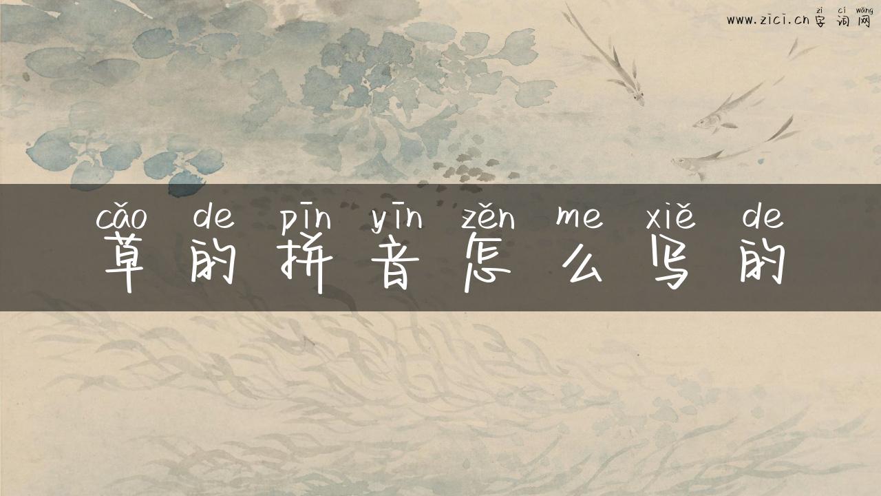 草的拼音怎么写的