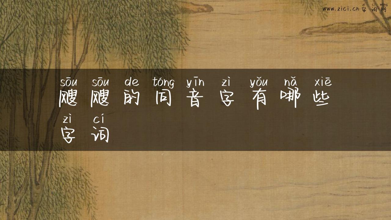 飕飕的同音字有哪些字词